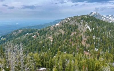 Mount Washburn
