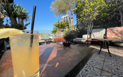 cocktail