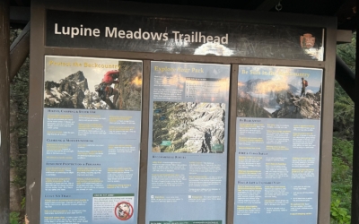 Alpine Meadow
