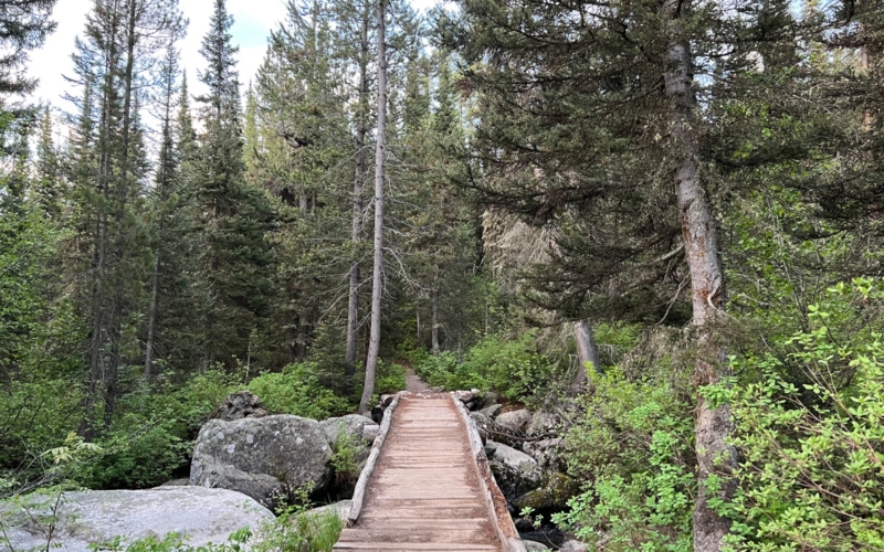 leave no trace 