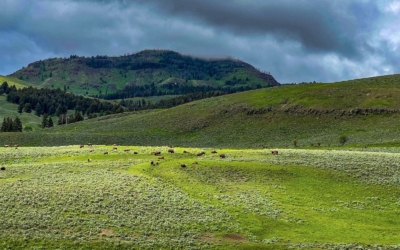 Lamar Valley
