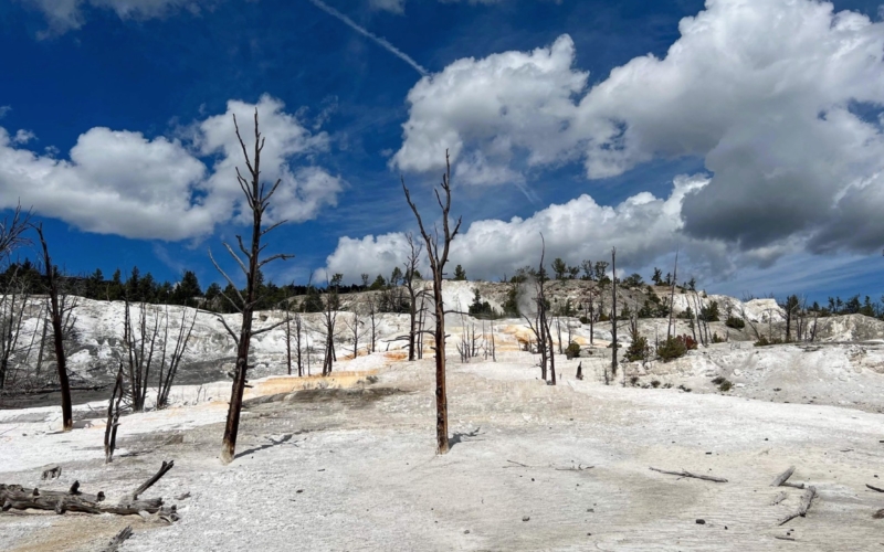 Mammoth Hot Springs