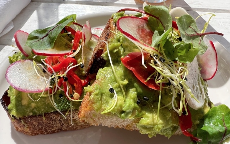 Great White venice beach