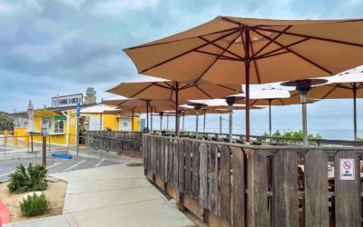 Crystal Cove Shake Shack