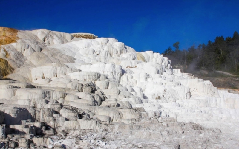 mammoth Hot Springs
