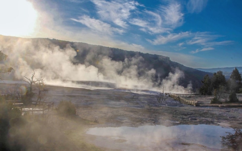 mammoth Hot Springs