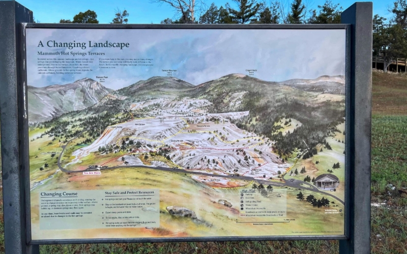 mammoth Hot Springs