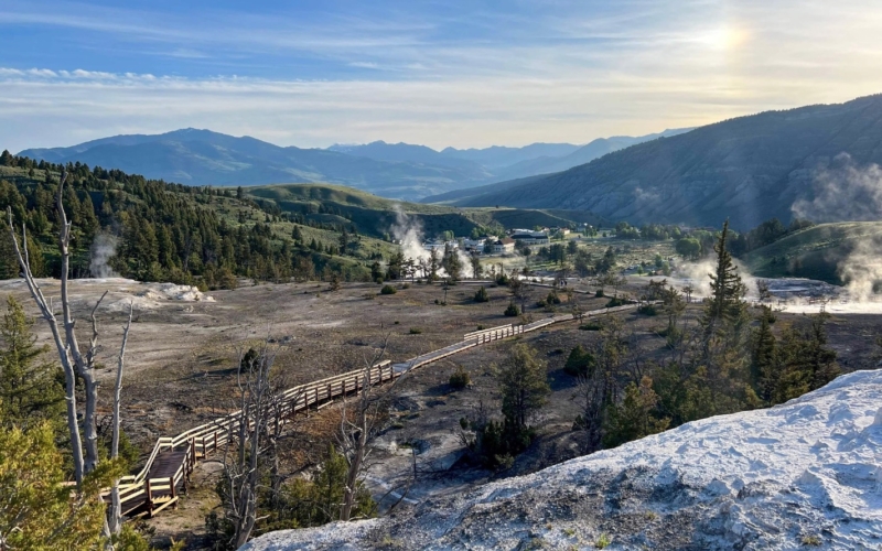 mammoth Hot Springs