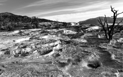 mammoth Hot Springs