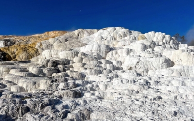 mammoth Hot Springs