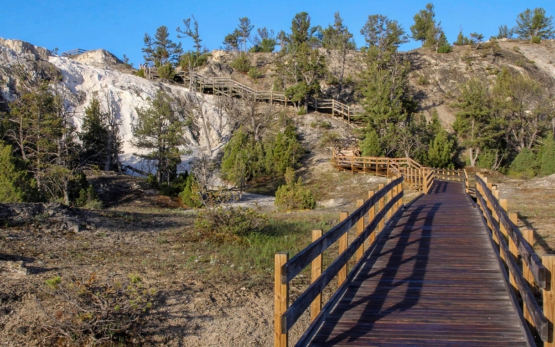 mammoth Hot Springs
