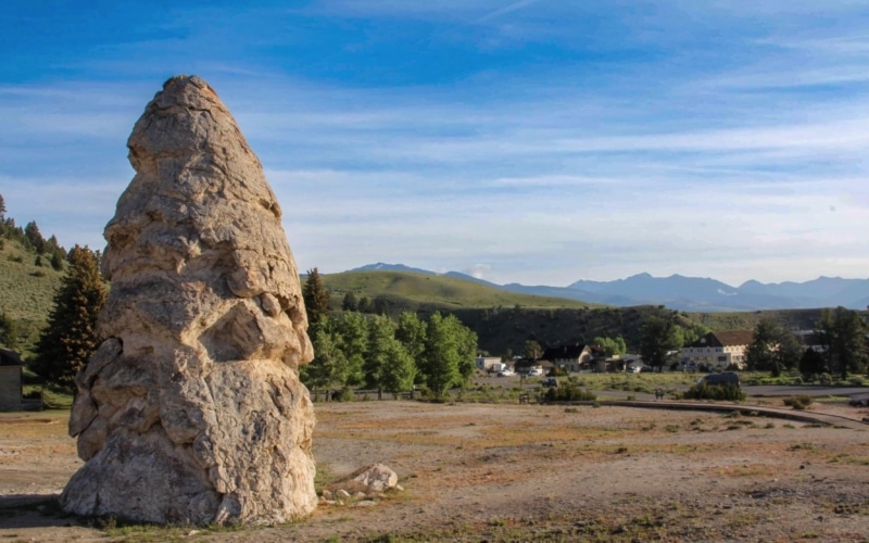 Liberty Cap 