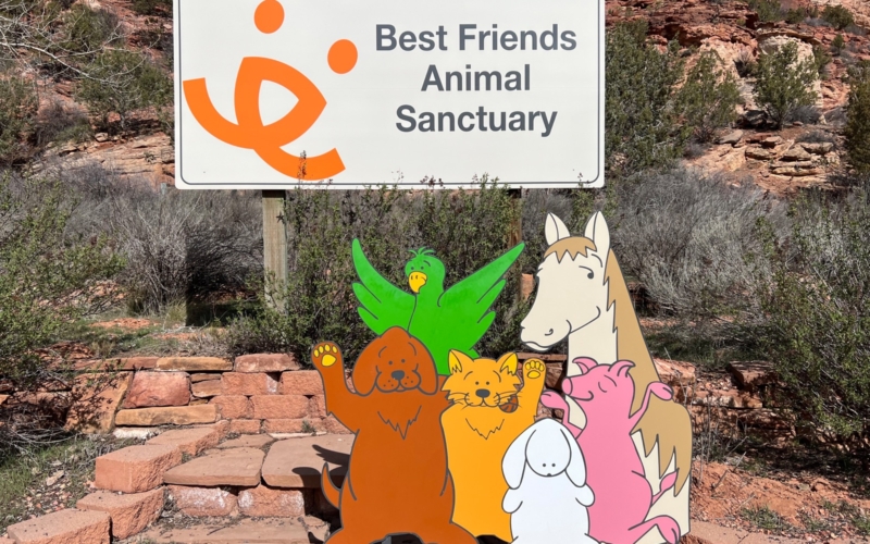 Best Friends animal Society 