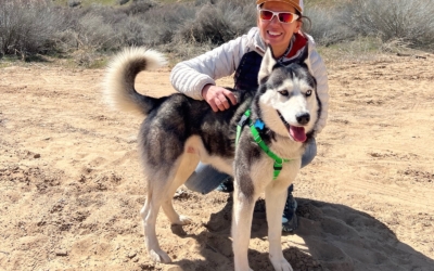 Best Friends animal Society