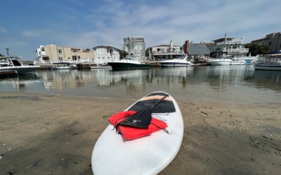paddle