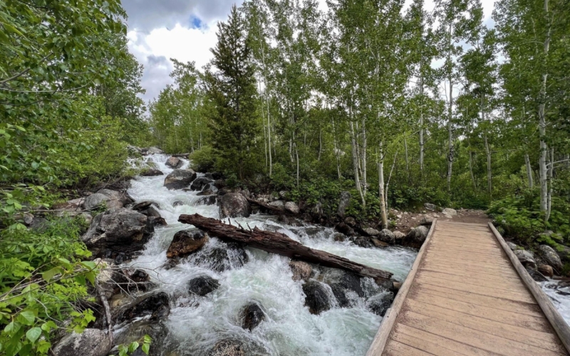 Rivière