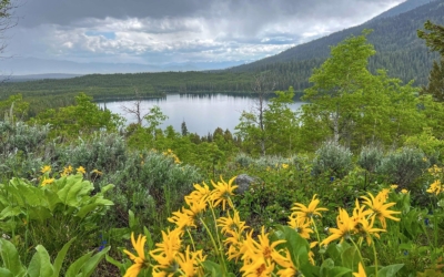 sentier vers Taggart et Bradley Lakes
