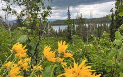 Taggart et Bradley Lakes