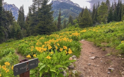 sentier vers Taggart et Bradley Lakes