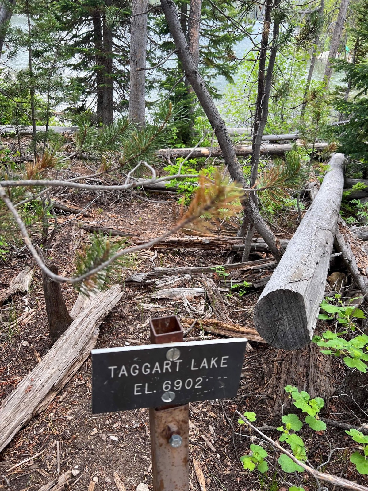 sentier vers Taggart et Bradley Lakes 