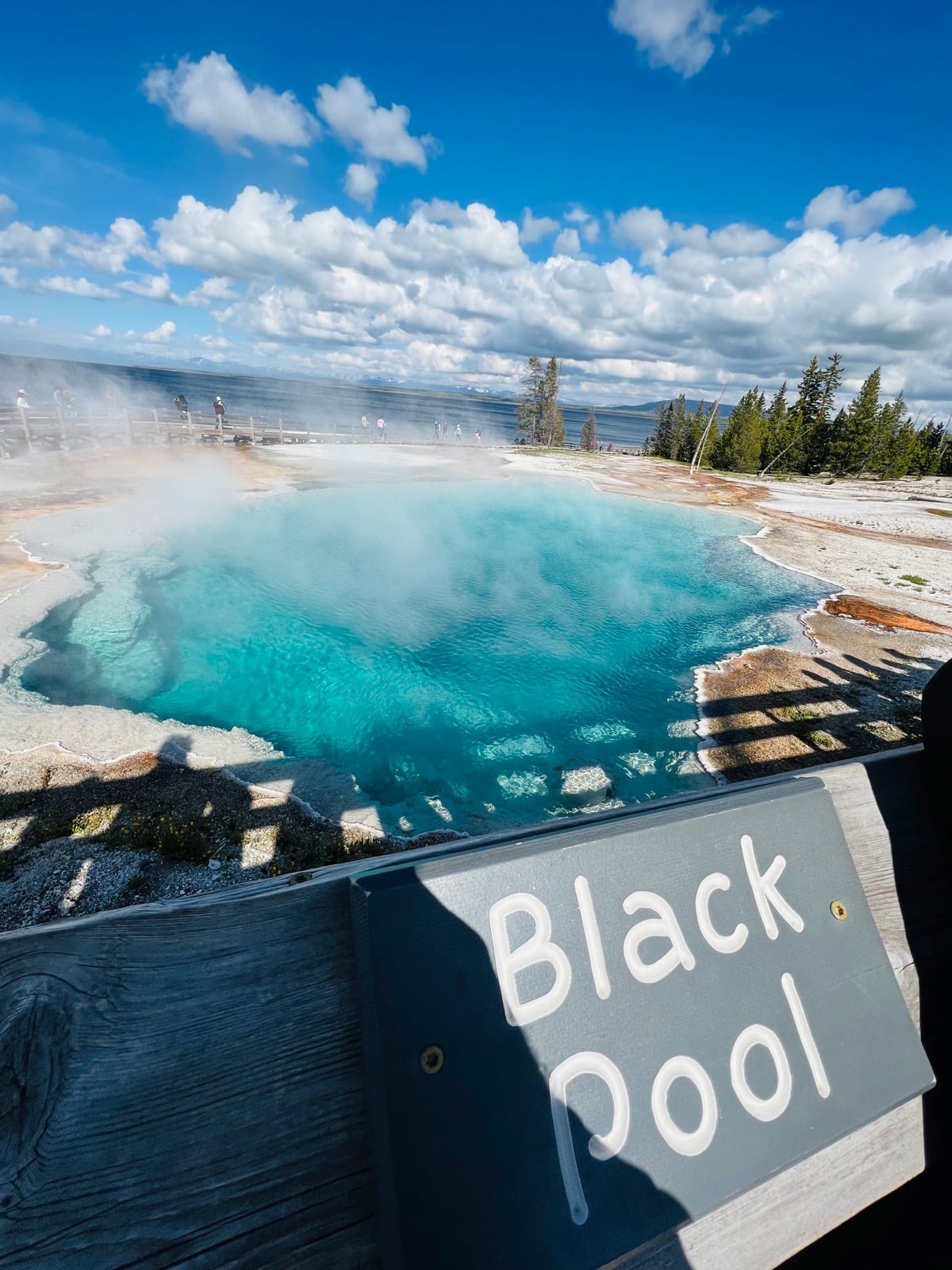 Black Pool
