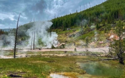 Artists' Paintpots