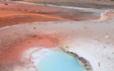 Artists' Paintpots