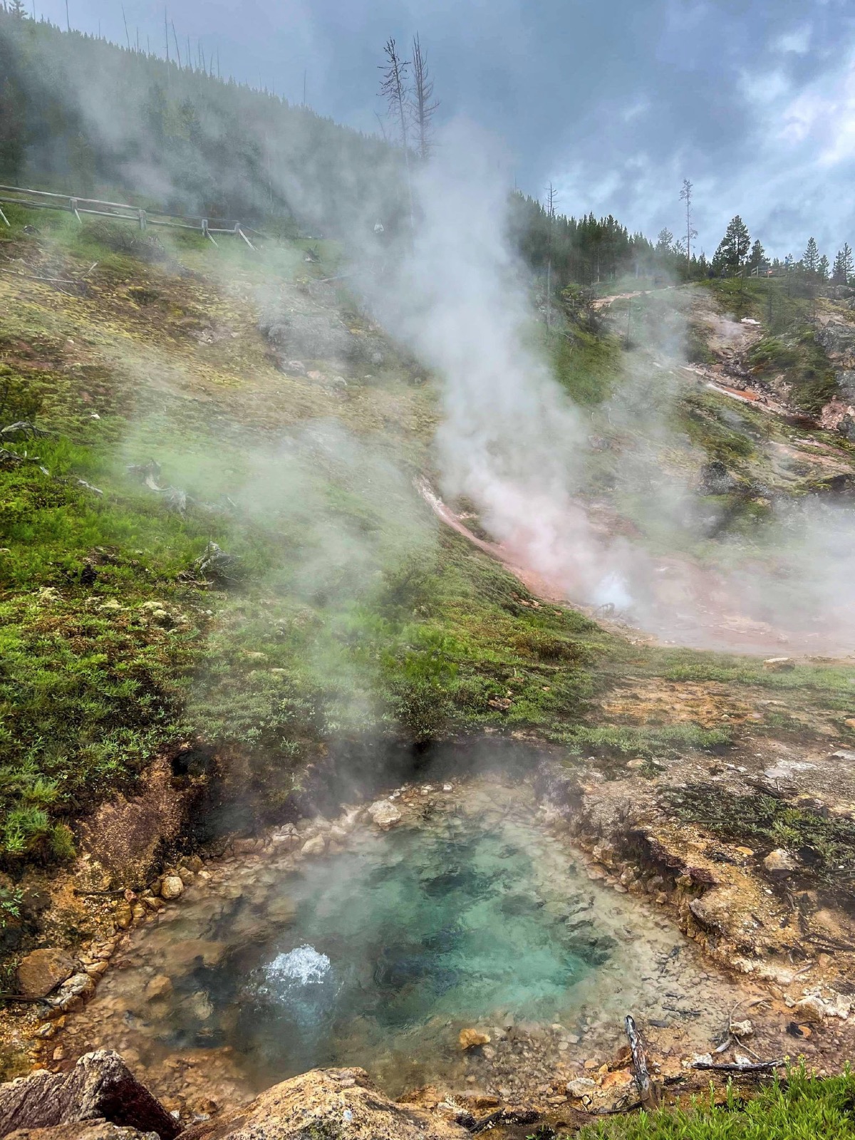 Blood geyser