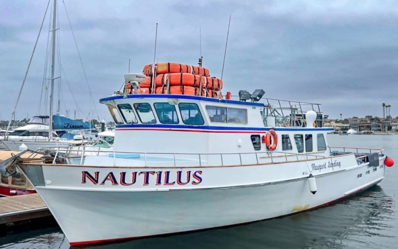 le nautilus