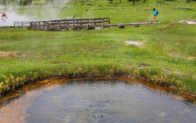 Terrace Spring