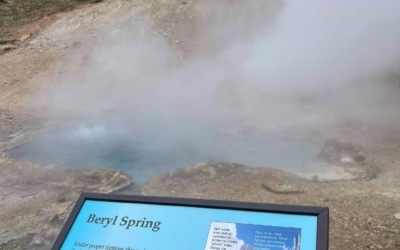 Beryl Spring