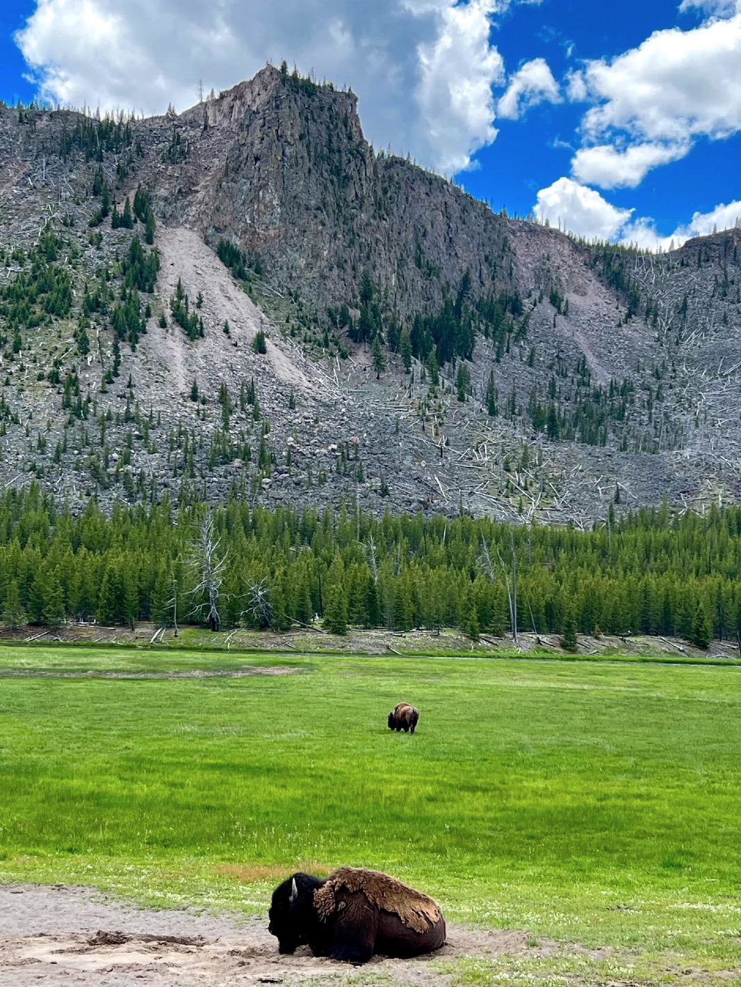 Madison River
