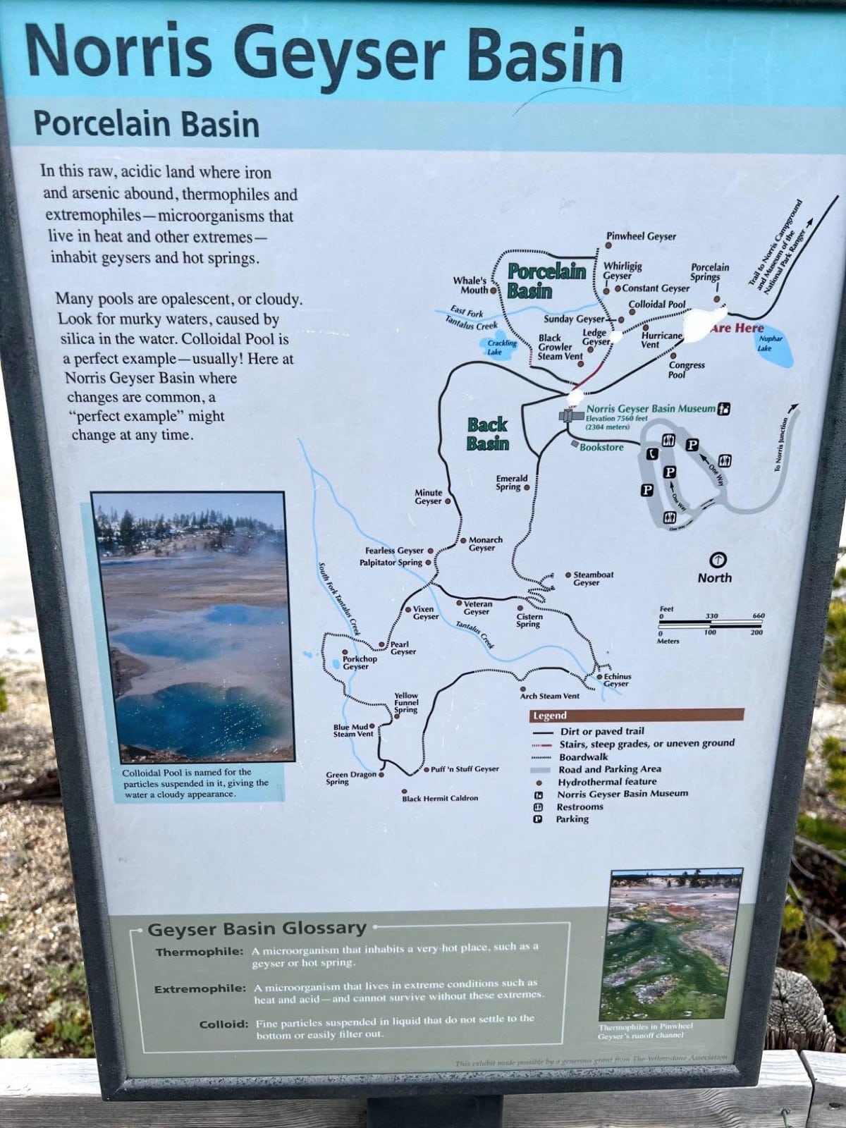 Norris geyser Basin 