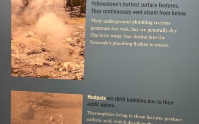 Norris geyser Basin
