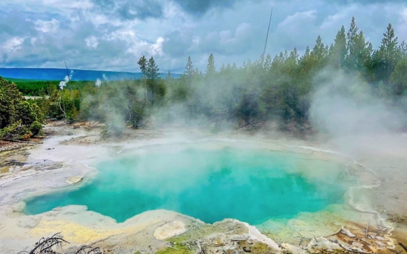Emerald Spring