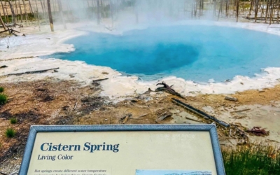 Norris Geyser Basin