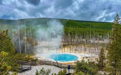 Norris Geyser Basin