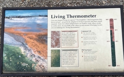 Norris Geyser Basin