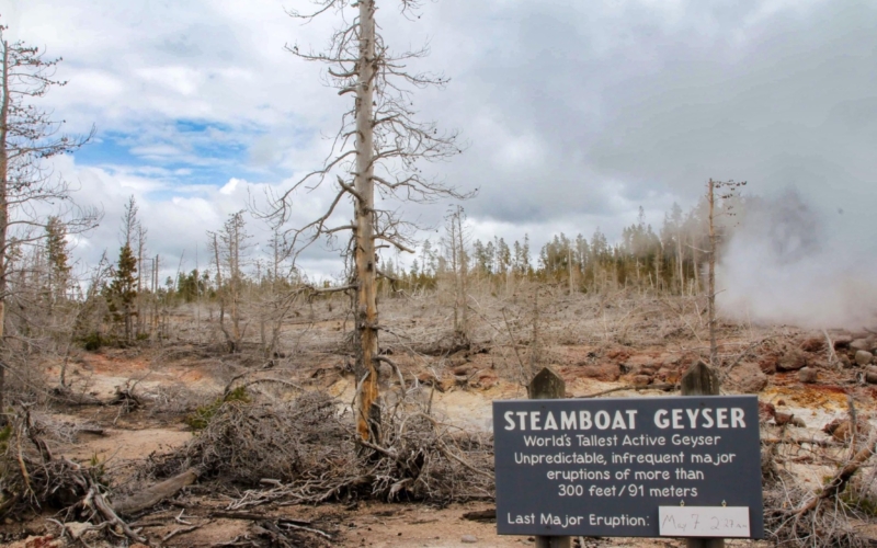 Norris Geyser Basin 