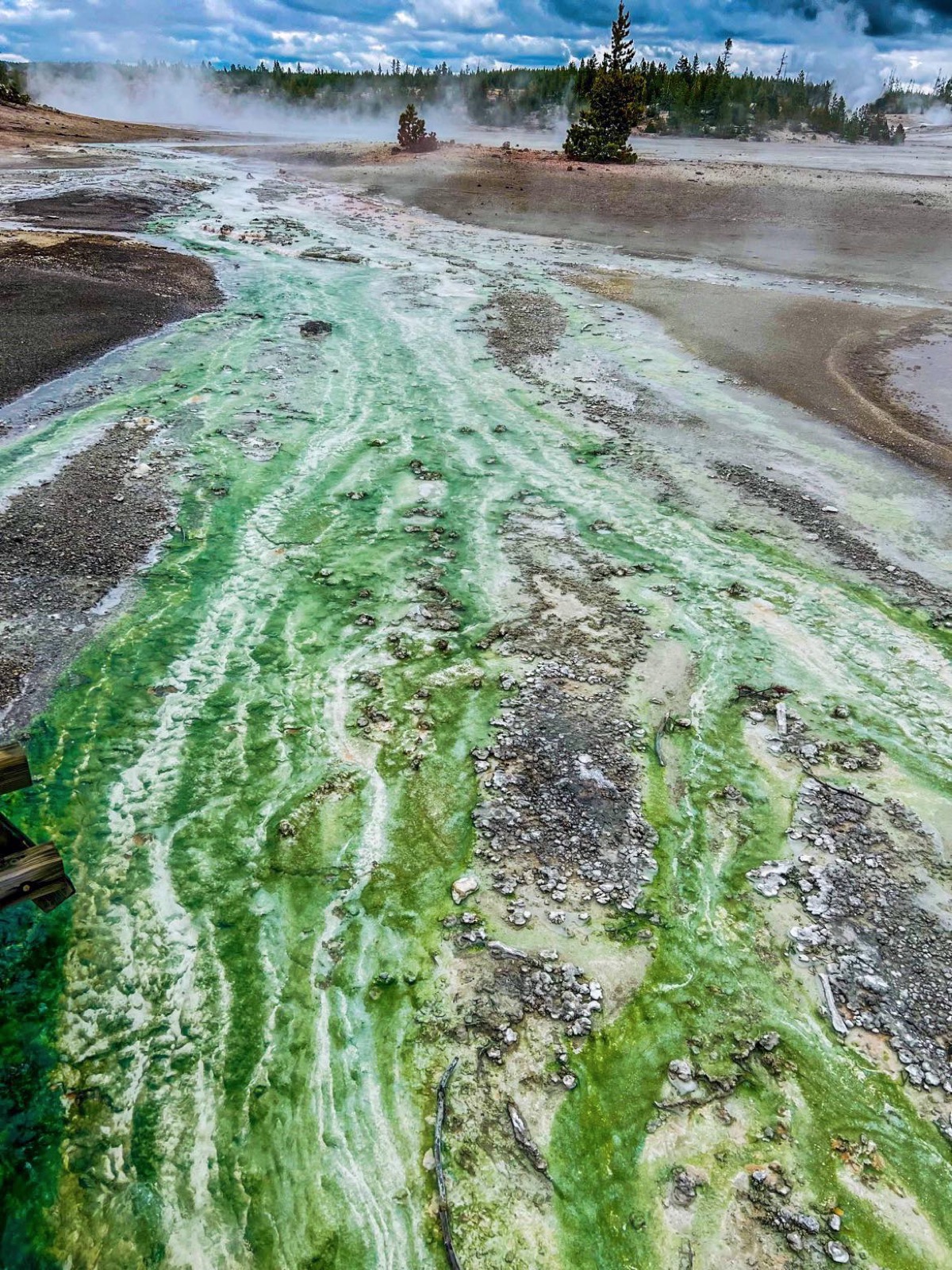 Norris geyser Basin 