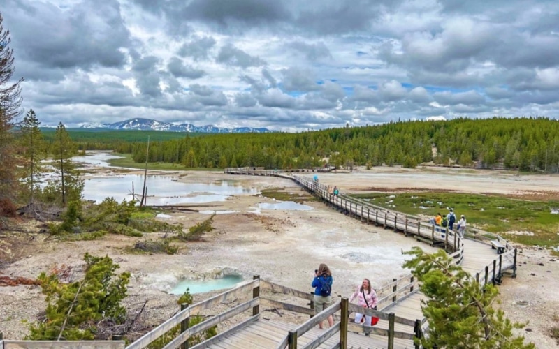 Norris Geyser Basin 