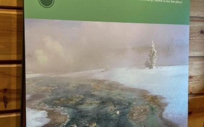 Norris geyser Basin