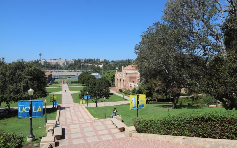 Janss Steps