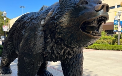 Go Bruins !
