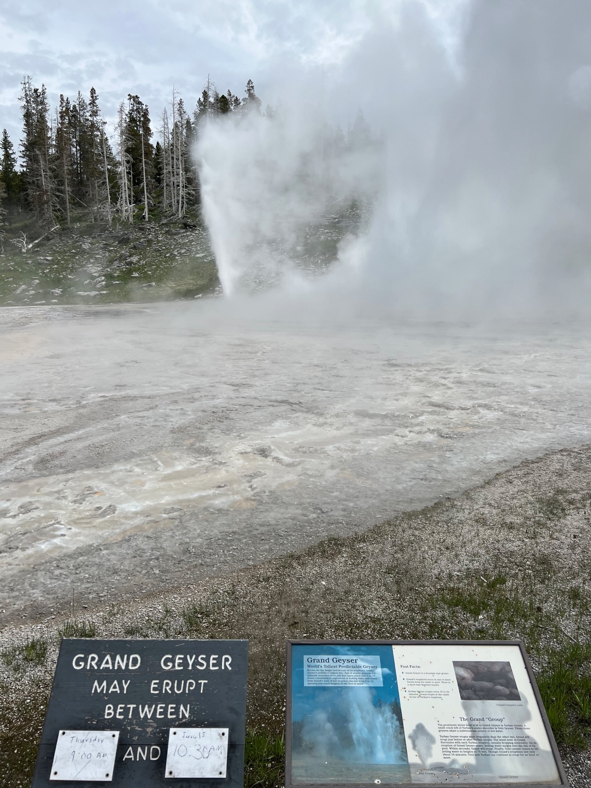 Upper Geyser Basin 