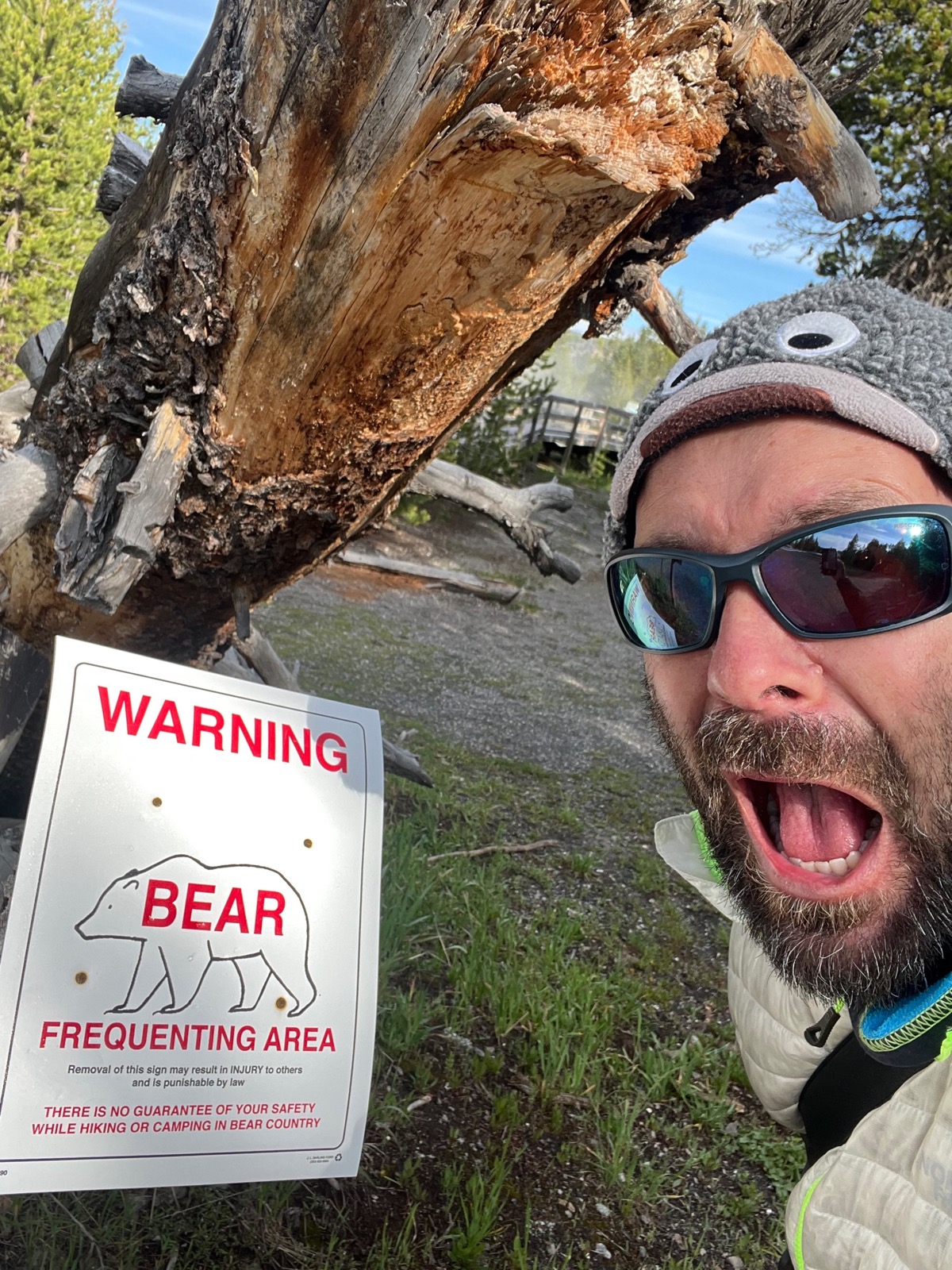 Attention aux ours 