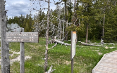 Observation Point