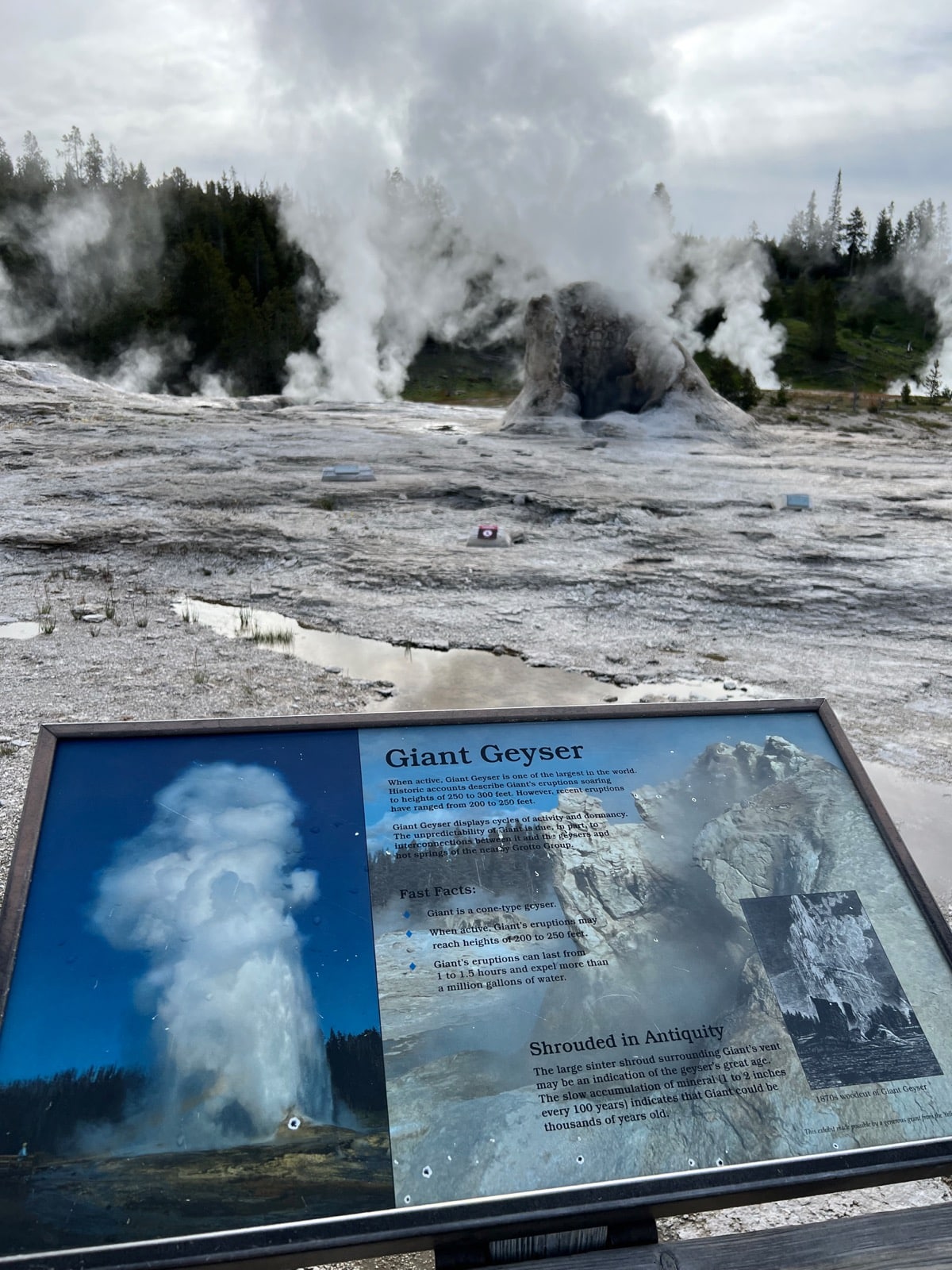Upper Geyser Basin 