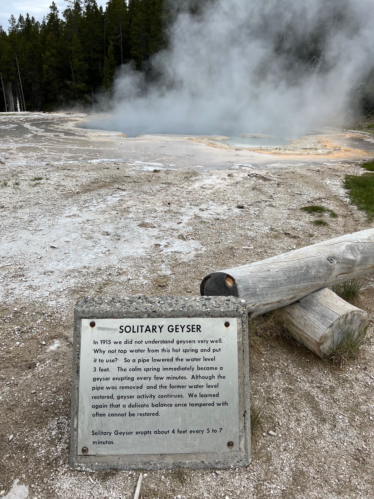 Solitary Geyser