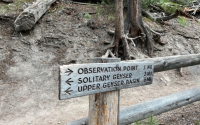 Observation Point